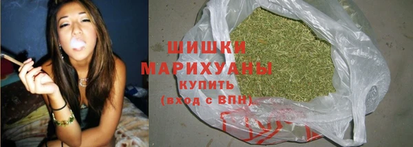 СК Балашиха