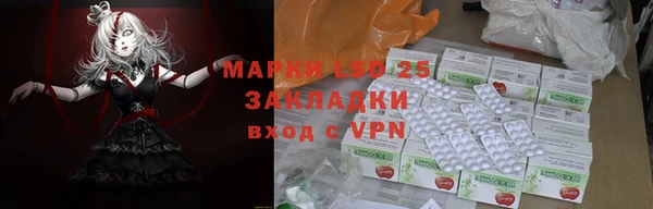 СК Балашиха
