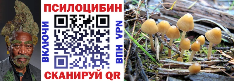 Галлюциногенные грибы Magic Shrooms  Адыгейск 