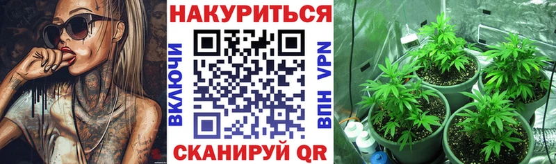 Бошки марихуана LSD WEED  наркота  Адыгейск 